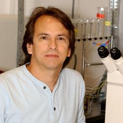 Miguel Holmgren, Ph.D.